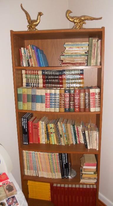 One of several bookcases filled with books and magazines