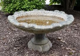 Bird Bath