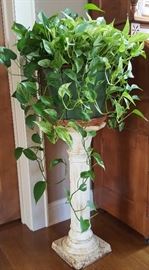 Plant and Plant Stand