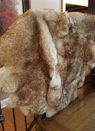 Sheep Skin Rug