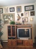 TV, Cabinet, Artwork