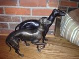 Greyhound Dogs