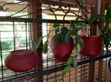 Fun red pots with live plants