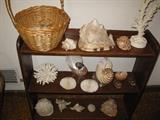 Sea shells