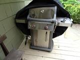 Weber BBQ