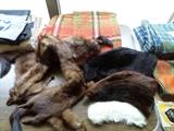 Fox stole and other vintage fur collars