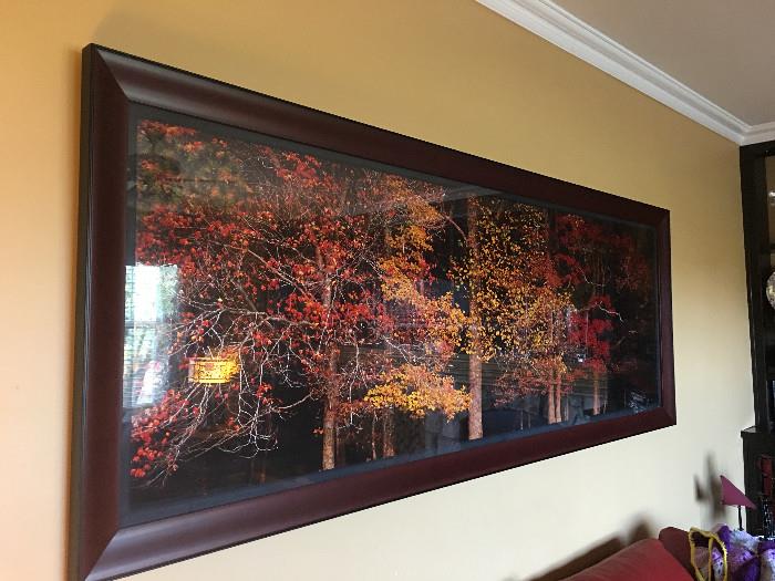 "Colors of the Smokies" by Thomas Mangelsen  - retired limited edition print, numbered and sigend 