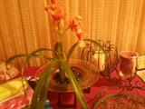Artificial orchid plant in glass with metal stand