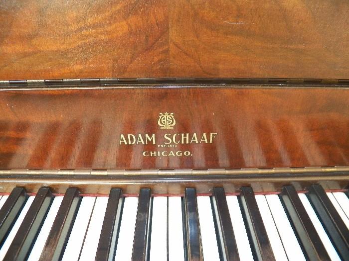 Adam Schaaf - Chicago