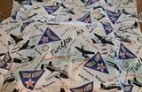 Twelfth Air Force scarf
