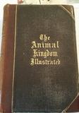 The Animal KingDom Illustrated