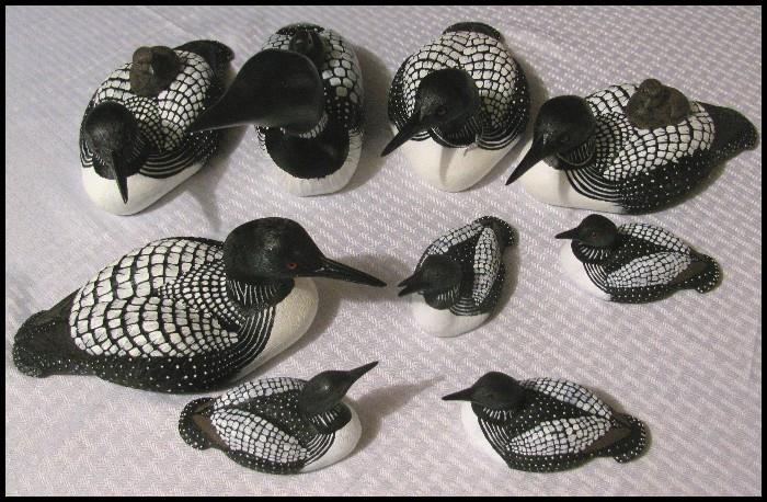 Collection of loons