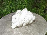 Concrete bunny