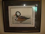 Merganser Duck by Dan Mitra limited signed 3/350