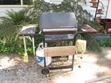 Back Yard---Grill