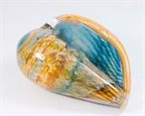 Lot #65 Venetian Glass Conch Shell