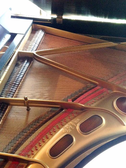 inside of 1920's Conover baby grand piano