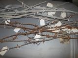 Antique barbed wire