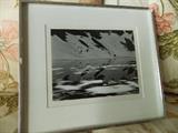 EDWARD WESTON Photograph , Gelatin silver print. Sight is 10 1/2 by 8 1/2 inches. 