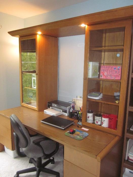 Desk with book shelves and lighting 