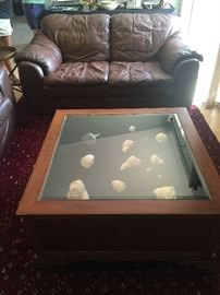 Display Coffee table