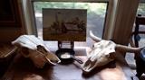 Cow skulls (left one is real, the right one is ceramic), artwork by Mary Lou Klotzman