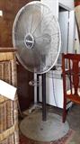 Industrial size 30 inch fan