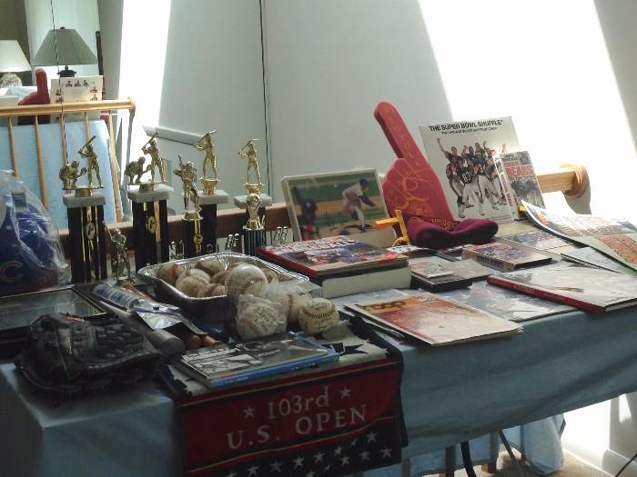Bulls, Bears,and baseball memorabilia and sports cards