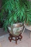 Potted Plant in Decorative Urn & Stand