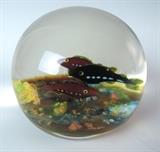 Signed Paul Ysart Paperweight