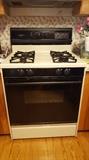 Gas Stove