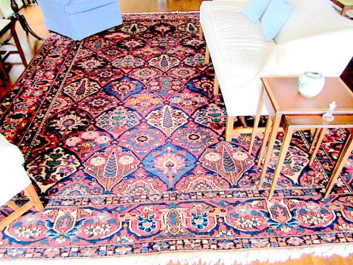 10ft. by 13 ft. Bakhtiari Persian rug.