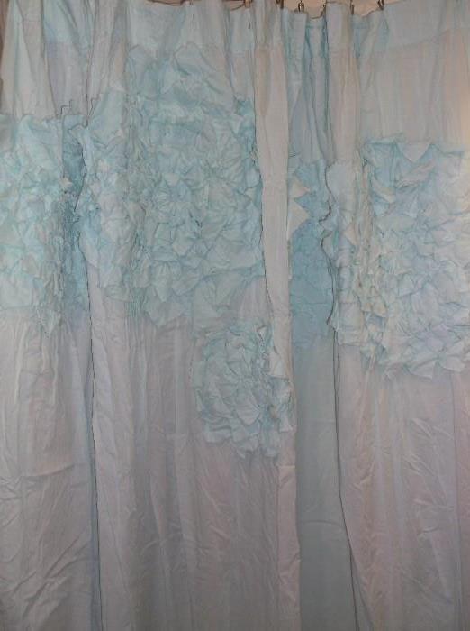 Shower curtain