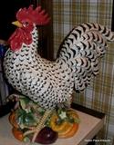 Italian Intrada Rooster