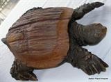 Handmade Turtle..delightful, check out the underside in next photo
