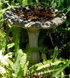 Another Birdbath
