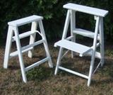 craigslistminiladders1a