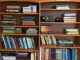 Bookcases and books. Our erudite client is an expert in Latin American HIstory -- books on religion and culture.
