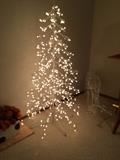 outdoor Christmas tree