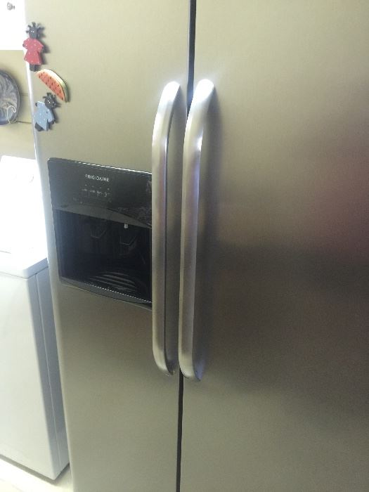 Stainless side by side refrigerator 2013