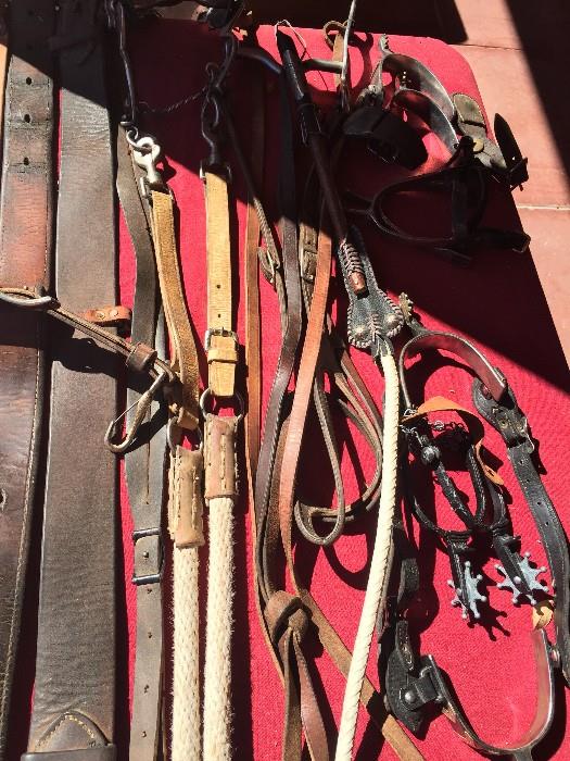 Tack, spurs, bridles, and rope.