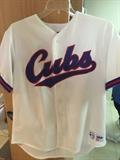 Cubs jersey....it's finally 'next year'!!