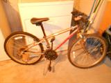 Boys Schwinn bike