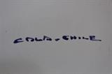 mark on the Chilean china pieces