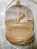 Brass bird cage with iron stand