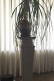 Planter and Pedastal