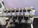 free weights
