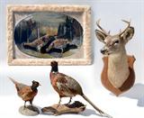 Taxidermy