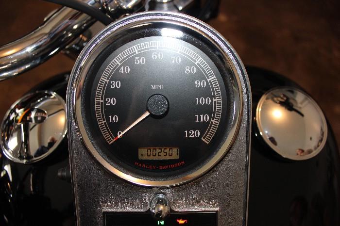 2009 Harley Davidson FLSTF  ODO