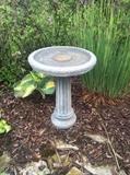 Bird Bath